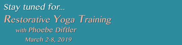 Restorative Yoga Training with Phoebe Diftler March 2-8
